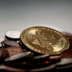 bitcoin-ארז פישלר